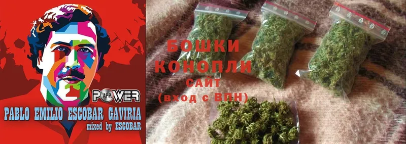 Шишки марихуана White Widow  где купить наркоту  Белоозёрский 